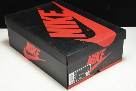 Retro UNC Low 1 OG Jordan 1004